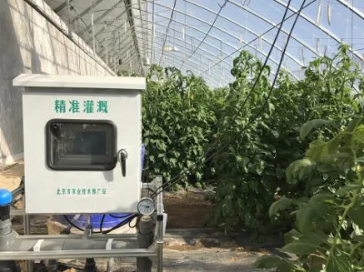 微信图片_2026-03-23_172636_071