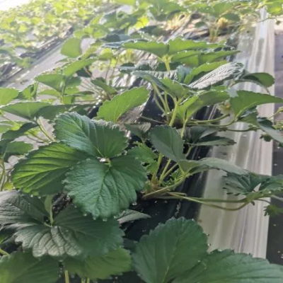 微信图片_2026-03-23_172629_264