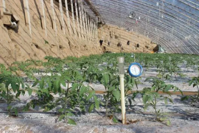 微信图片_2026-03-23_172633_197