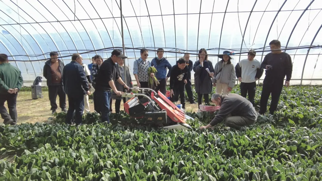 微信图片_2026-03-27_170702_254 微信图片_2026-03-27_170702_254