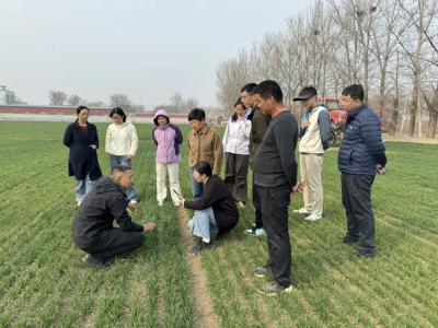 微信图片_2026-03-30_174353_653