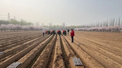 微信图片_2026-04-01_175014_762 微信图片_2026-04-01_175014_762