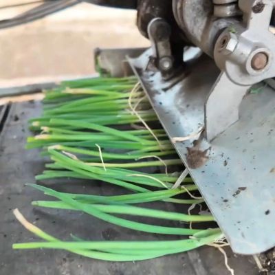 微信图片_2026-04-01_175026_345 微信图片_2026-04-01_175026_345