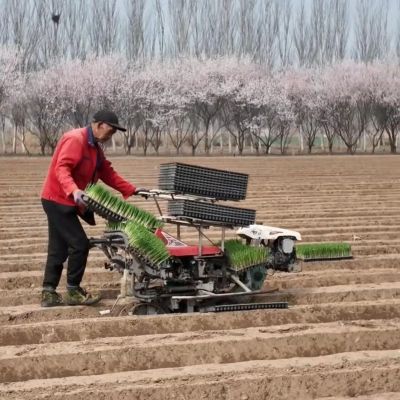 微信图片_2026-04-01_175030_704 微信图片_2026-04-01_175030_704