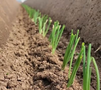 微信图片_2026-04-01_175020_081 微信图片_2026-04-01_175020_081