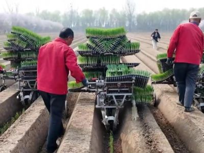 微信图片_2026-04-01_175023_217 微信图片_2026-04-01_175023_217