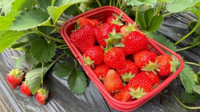 微信图片_2026-04-01_175044_609 微信图片_2026-04-01_175044_609