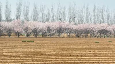 微信图片_2026-04-01_175035_081 微信图片_2026-04-01_175035_081