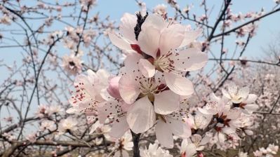 微信图片_2026-04-01_175038_800 微信图片_2026-04-01_175038_800