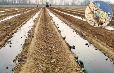 微信图片_2026-04-10_142245_747