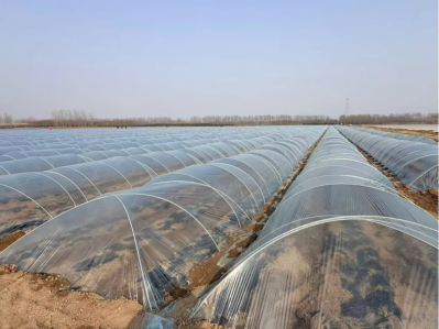 微信图片_2026-04-17_102937_025