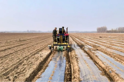 微信图片_2026-04-17_102934_473