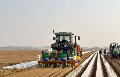 微信图片_2026-04-17_102931_314