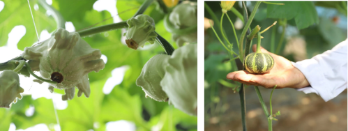 微信图片_20250530175138