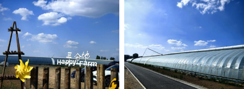 微信图片_20250604112845 微信图片_20250604112845