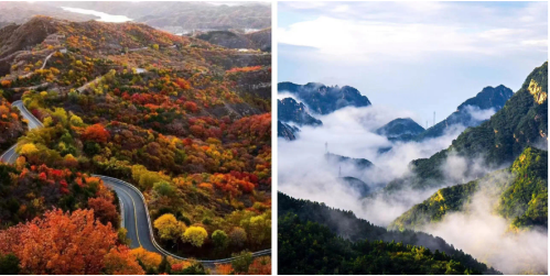 微信图片_20250610154522