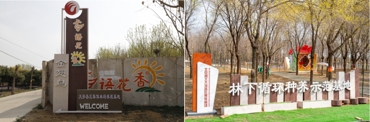 微信图片_20250717102030