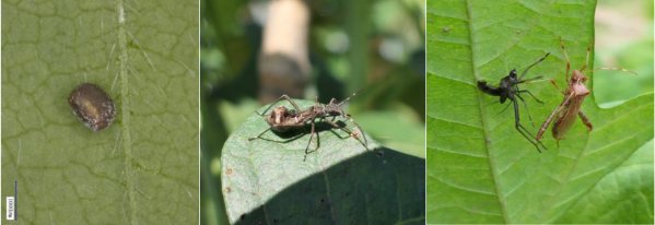 屏幕截图 2023-09-06 111613