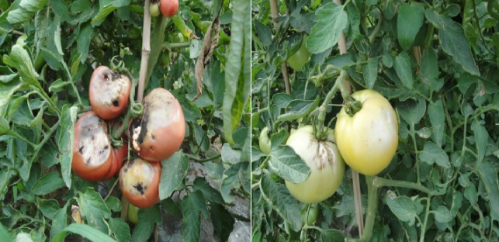 屏幕截图 2023-09-12 172248 屏幕截图 2023-09-12 172248