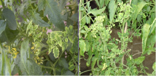 屏幕截图 2023-09-12 172521 屏幕截图 2023-09-12 172521