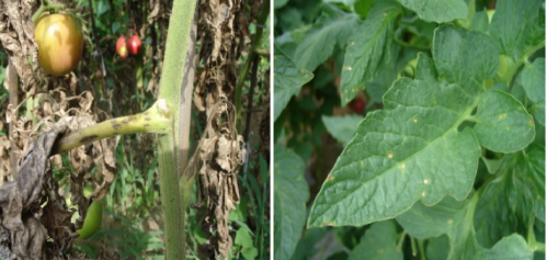 屏幕截图 2023-09-12 173105