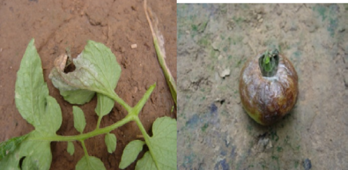 屏幕截图 2023-09-18 141346 屏幕截图 2023-09-18 141346