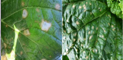 屏幕截图 2023-09-27 143433 屏幕截图 2023-09-27 143433