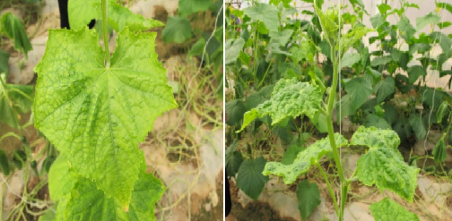 屏幕截图 2023-09-27 151431