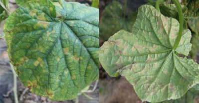 屏幕截图 2023-11-02 141745 屏幕截图 2023-11-02 141745