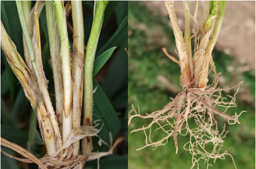 微信图片_20240402163647