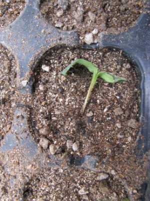 微信图片_20250217102751