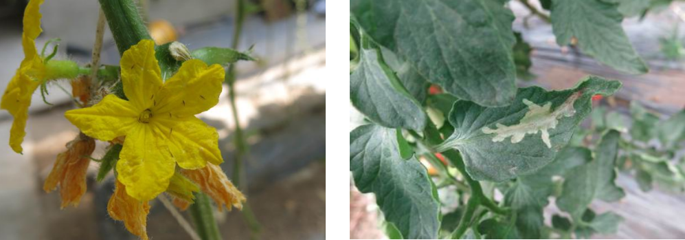 微信图片_20250714144105 微信图片_20250714144105