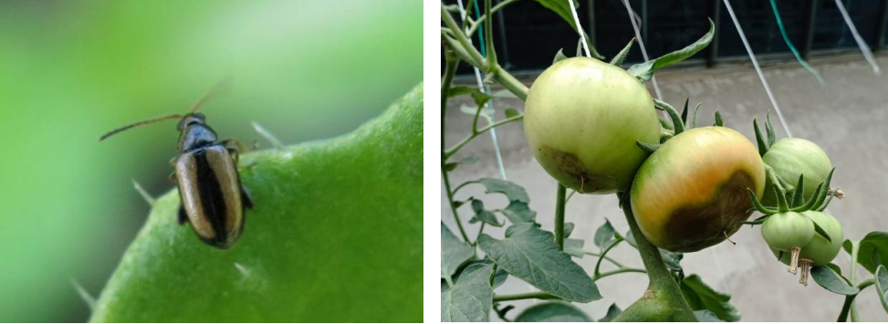 微信图片_20250714144111 微信图片_20250714144111