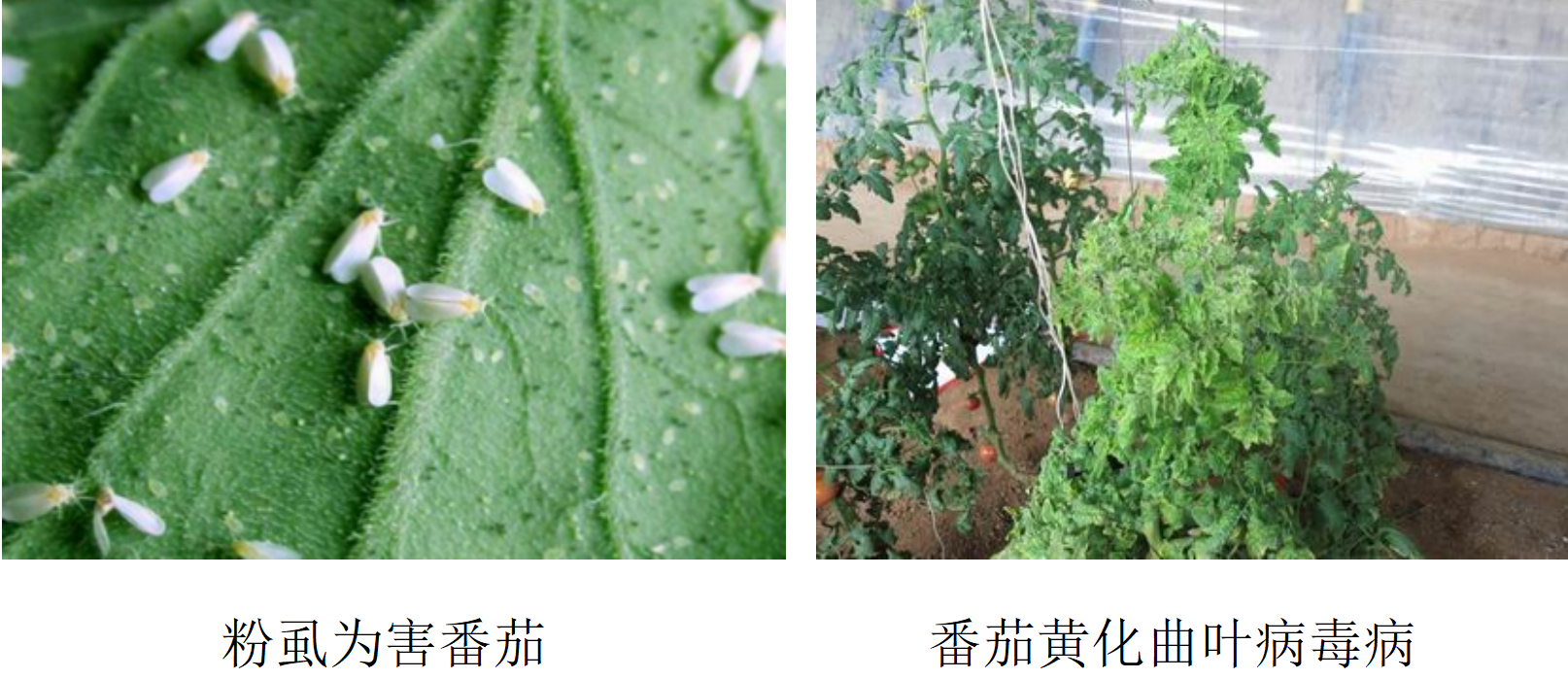 微信图片_2025-08-18_142353_294 微信图片_2025-08-18_142353_294