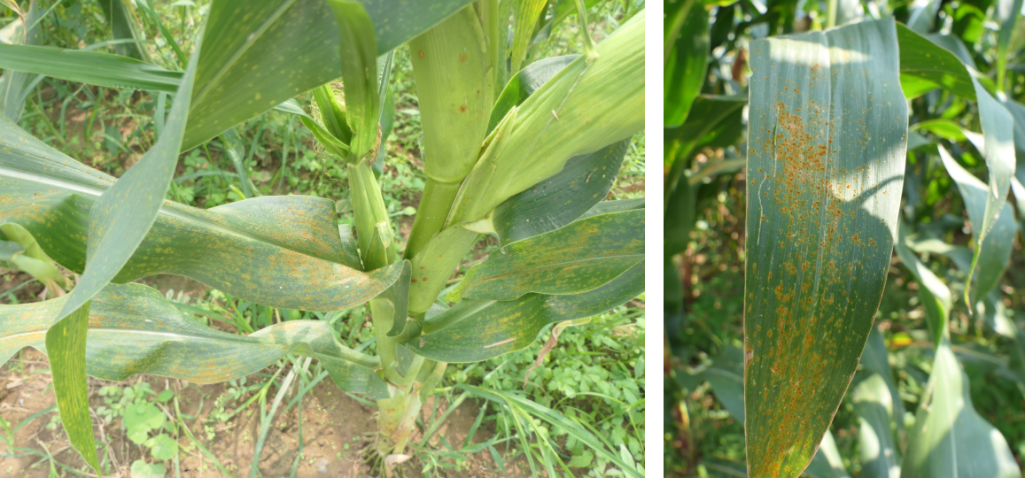 微信图片_2025-09-04_114651_777 微信图片_2025-09-04_114651_777