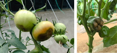 微信图片_2026-04-27_134822_471